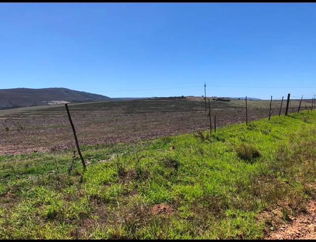 FARM FOR SALE IN BAARDSKEERDERSBOS